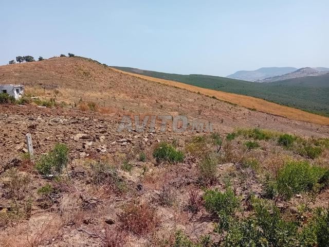 Terrains titrés à vendre | Bir Jdid