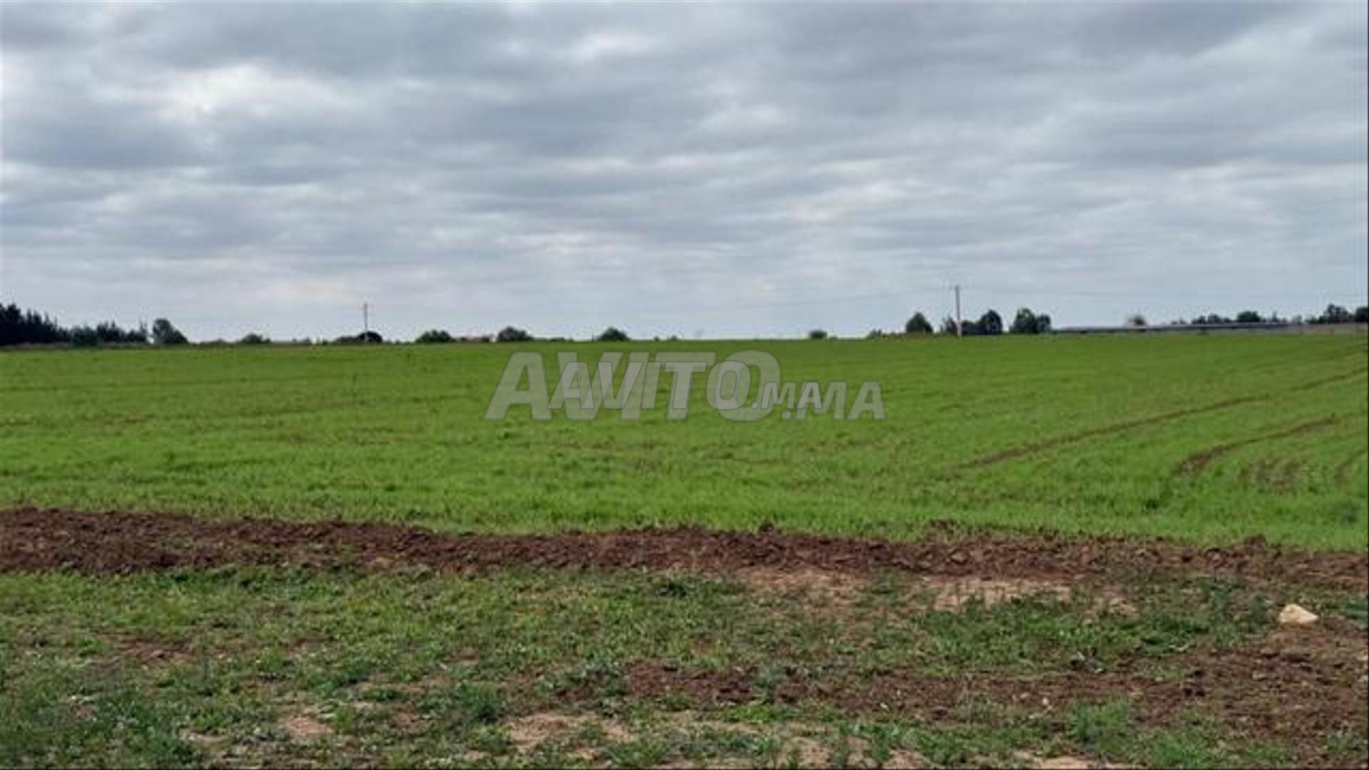 Vente de terrains titrés pour construction et investissement — Sidi Rahal