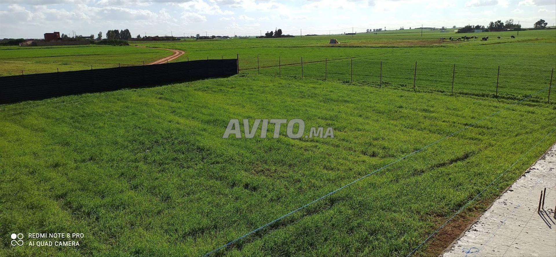 Terrains titrés à vendre | Bir Jdid