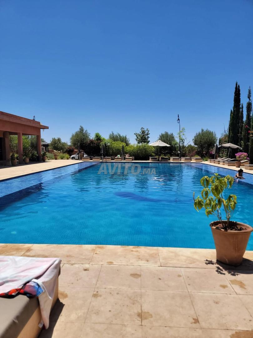 Sublime appartement en location