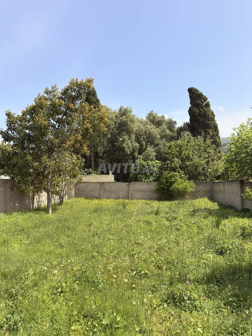 Terrain à vendre à Amsa, idéal pour habitation ou projet touristique