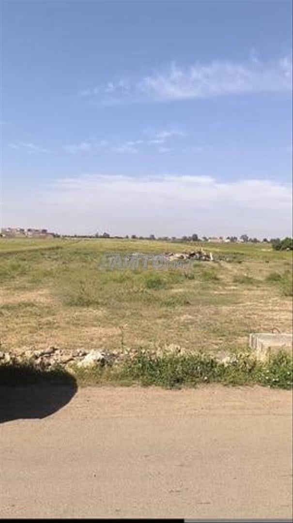 Terrain à vendre Deroua 10 000 m²