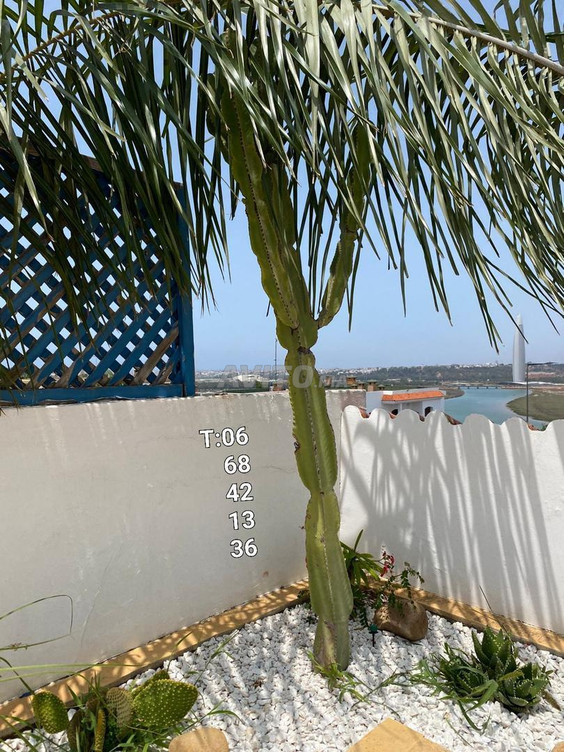 Villa à vendre Youseffia Rabat 350m²