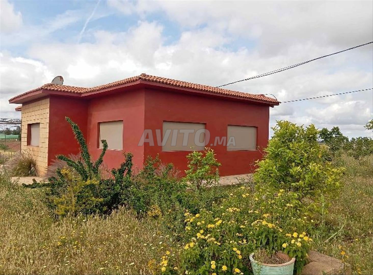 Ferme à vendre 4 hectares Sla Es-Sahli