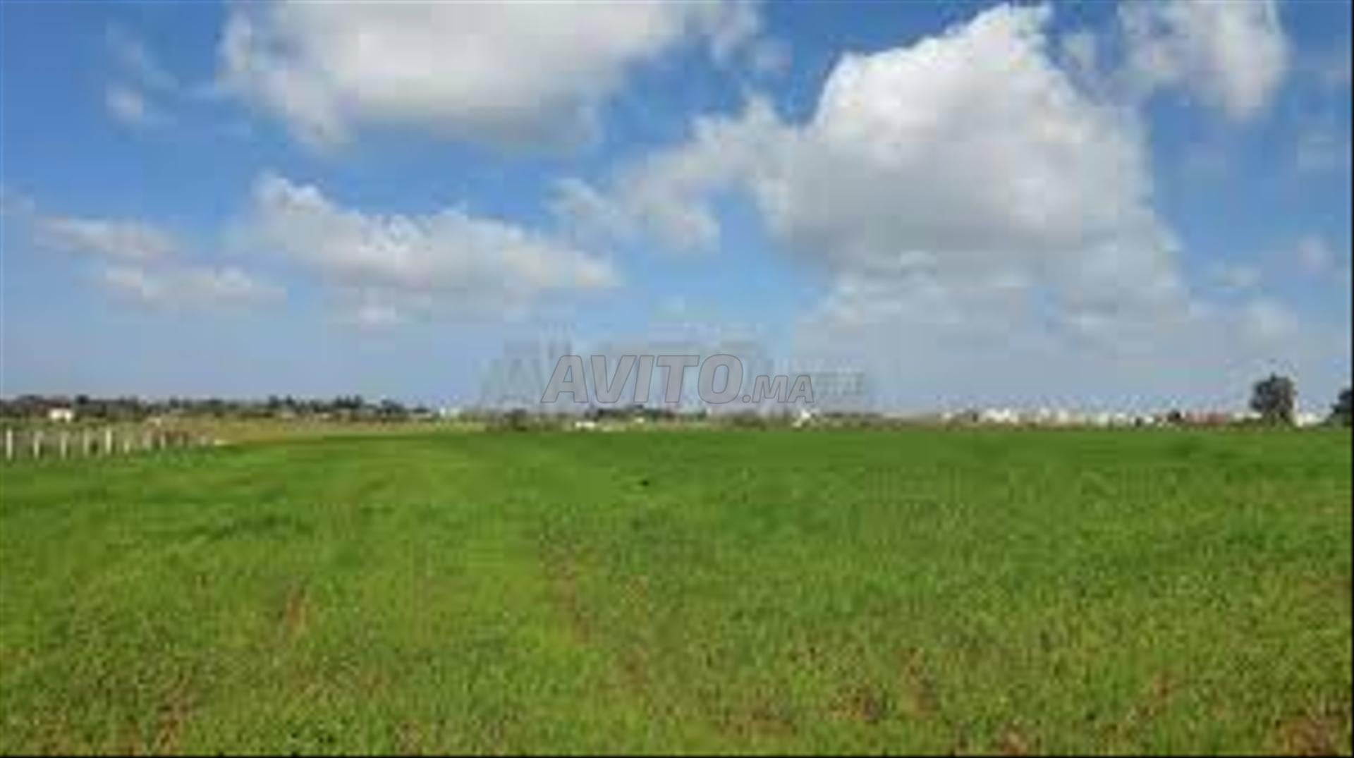 Terrains titrés à vendre pour l'agriculture et l'investissement CHTOUKA