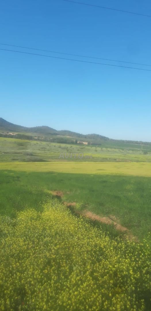 Terrain agricole à vendre 2 hectares moins un quart, titré et enregistré