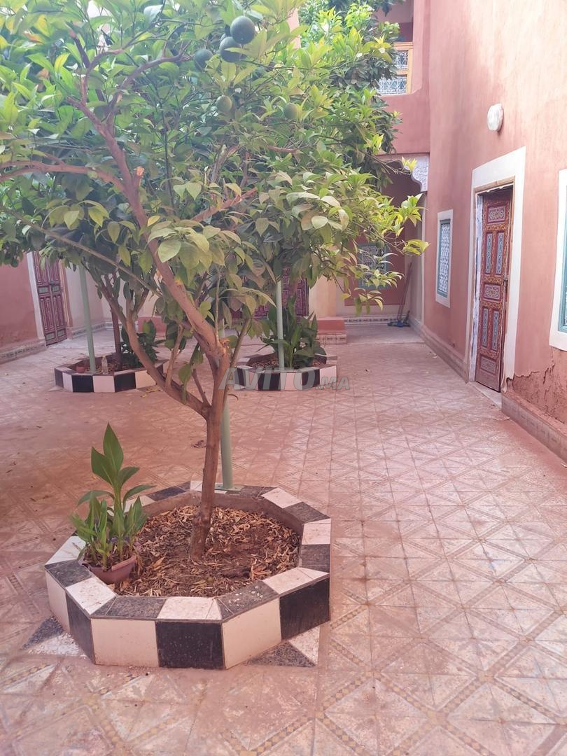 Riad à vendre Zawya Abbassia