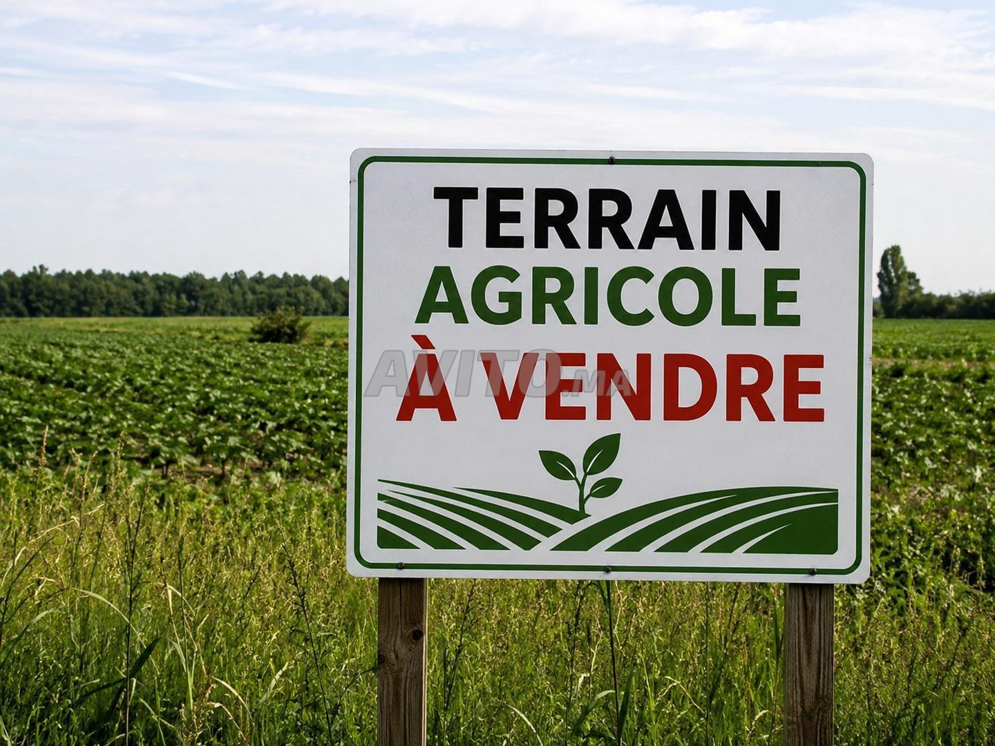 Terrain Agricole à Vendre 🌿