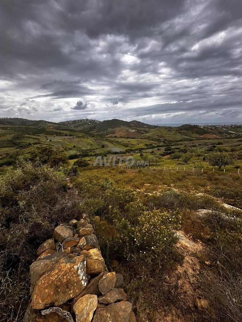 Terrain 2000m² à vendre – 350DH/m²