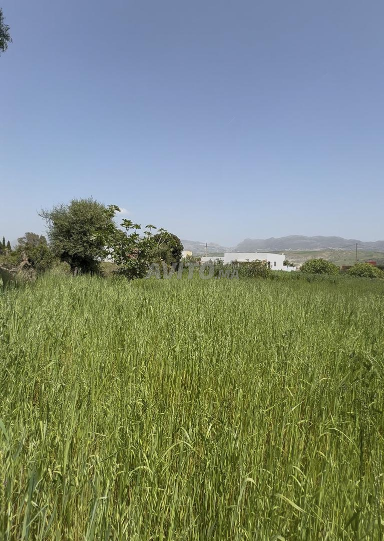 Terrain à vendre à Tétouan