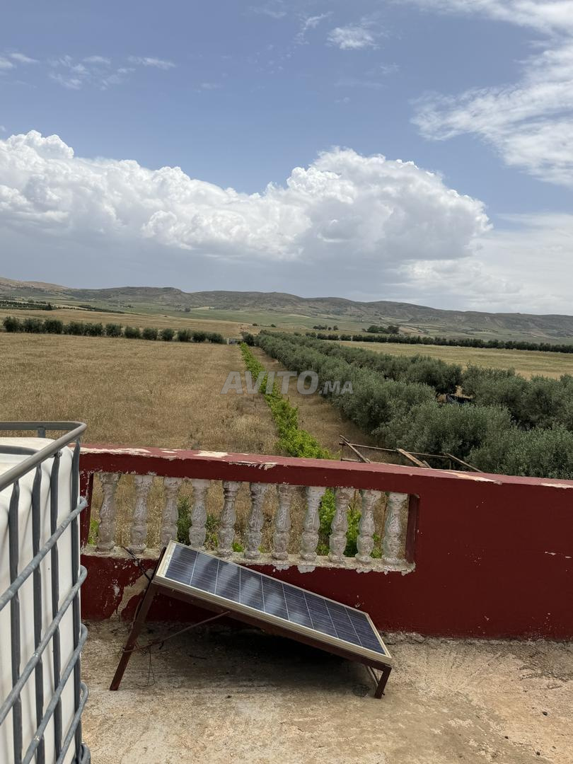 4 hectares à vendre