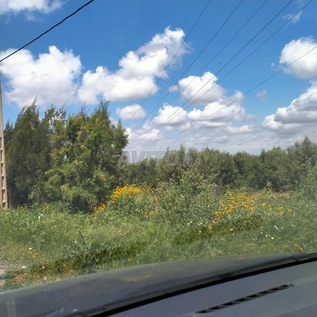 A vendre Une ferme de 15 hectares