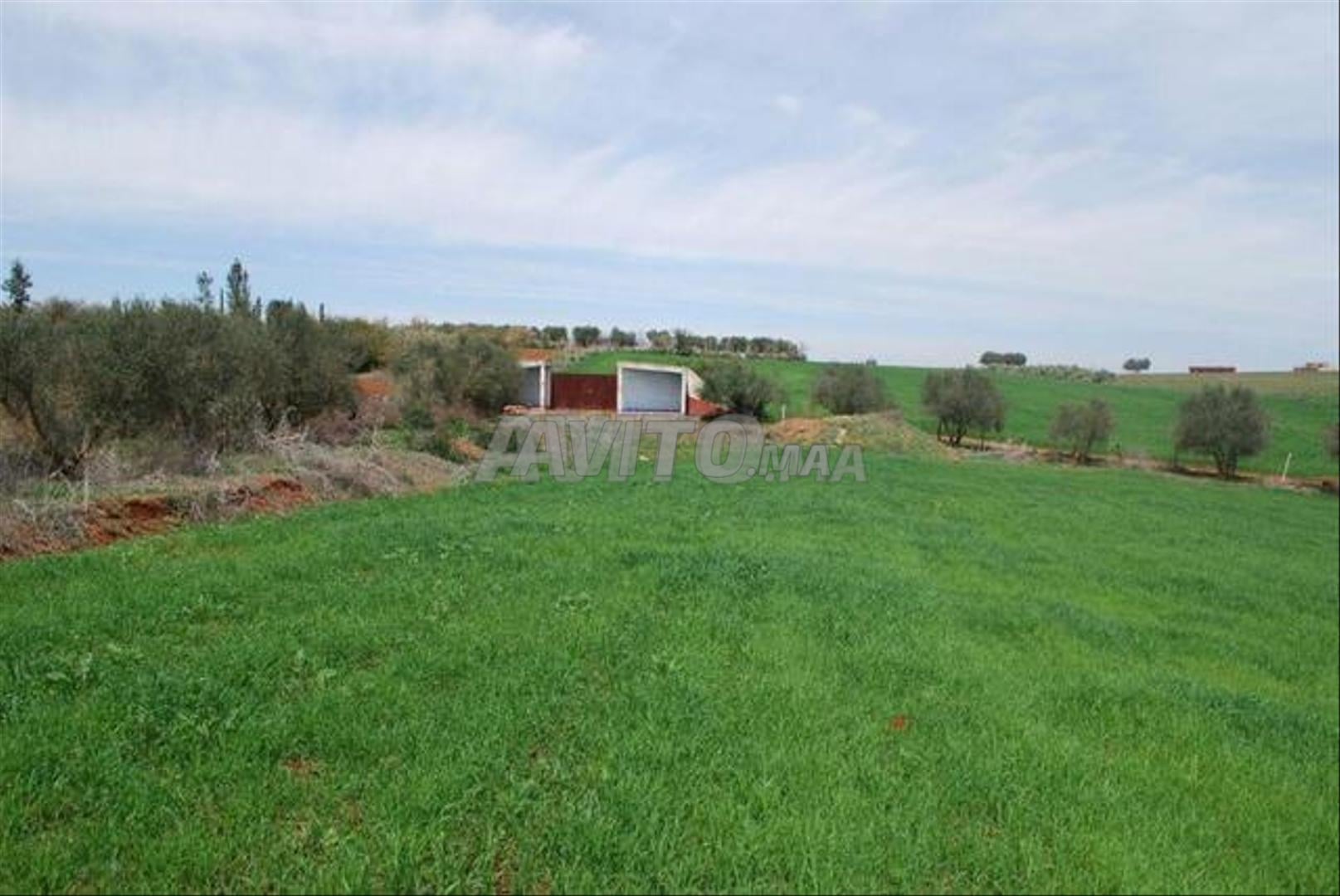 Terrains et villas titrés à vendre | Bir Jdid