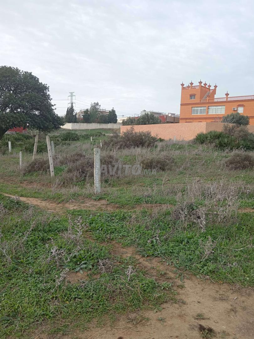 Terrain à vendre 100 mètres, deux façades sur rue