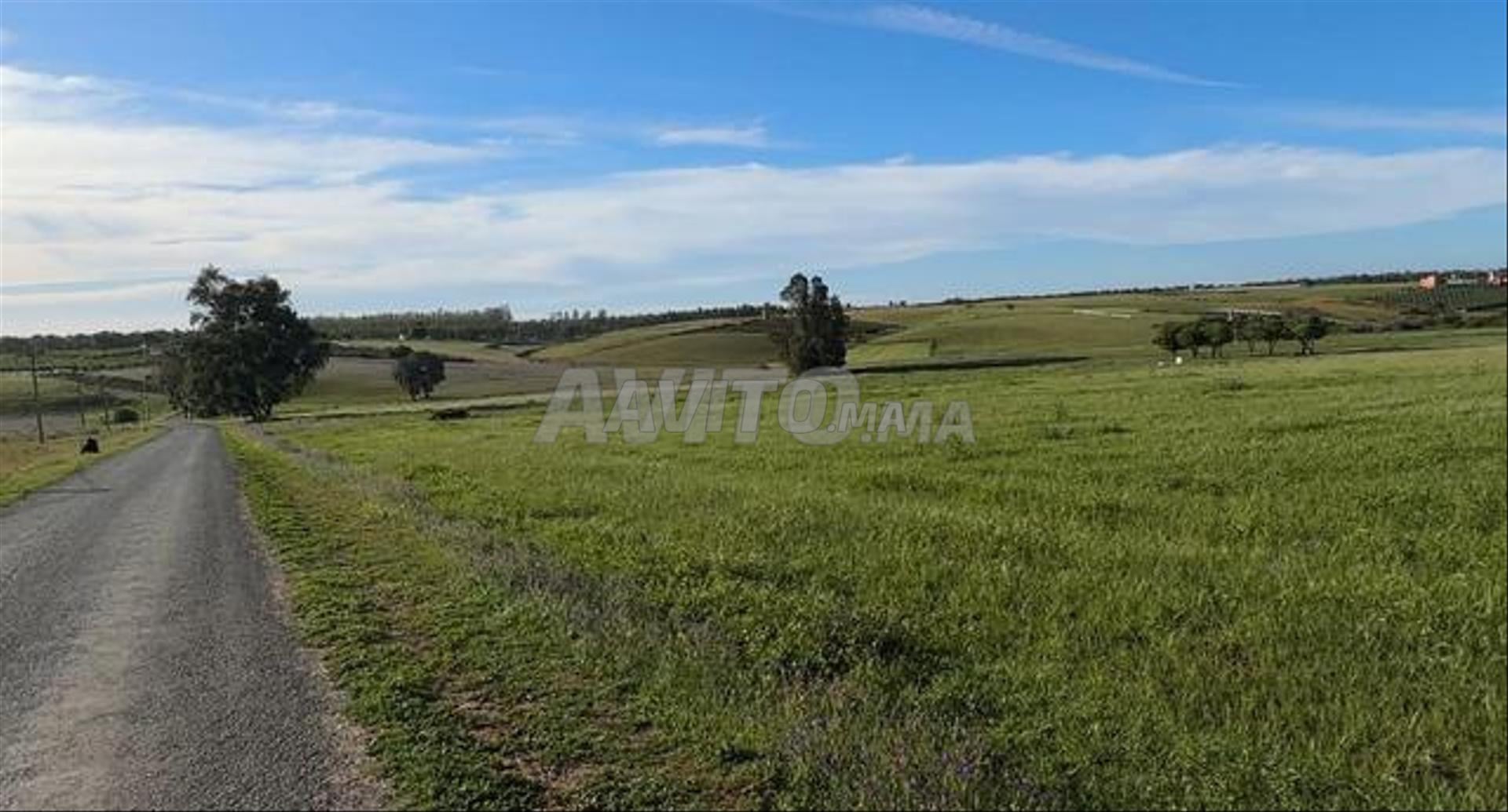 Vente de terrains – Sidi Rahal, bord de mer