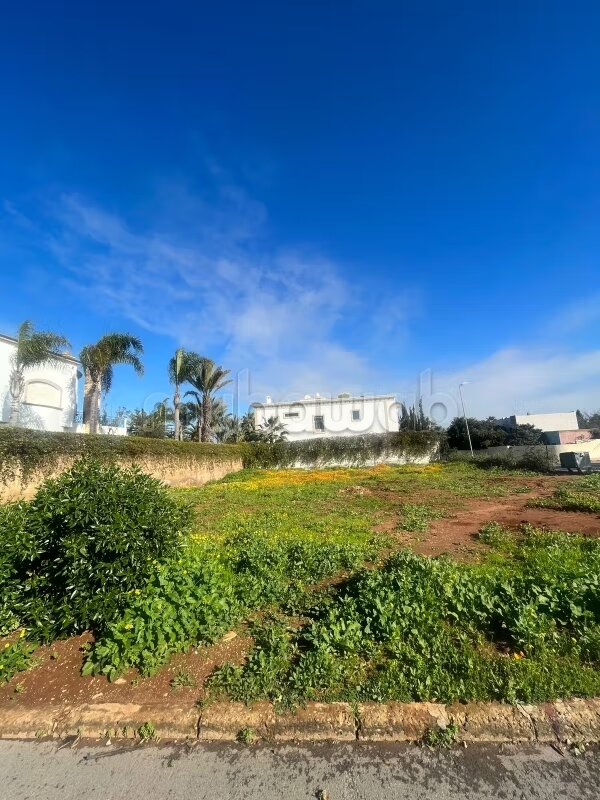 Terrain 1100 m² à vendre à Casablanca, Vieux Californie — Photo 3
