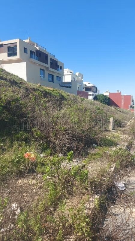 Land 2366 m² for Sale in Meknès (Andalous Ain Maaza) — Photo 6