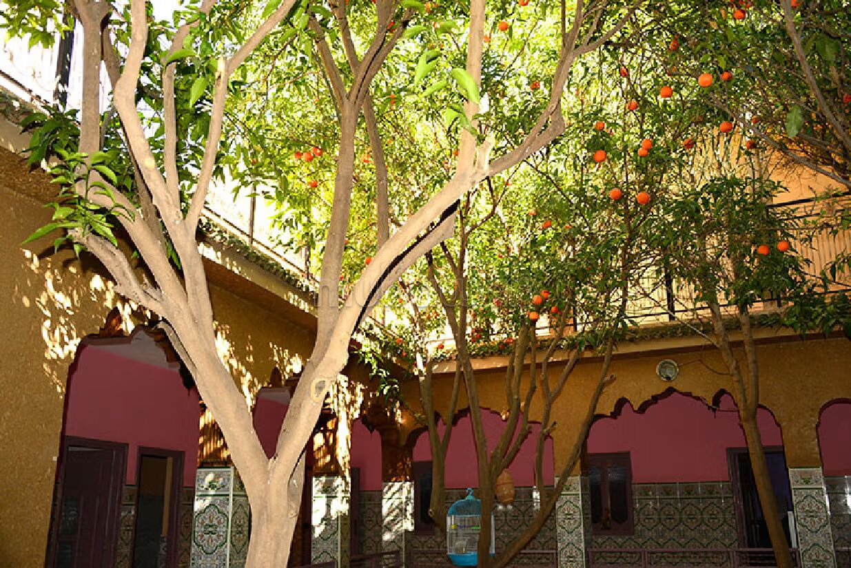 Villa 235 m² for sale in Agadir — Photo 4