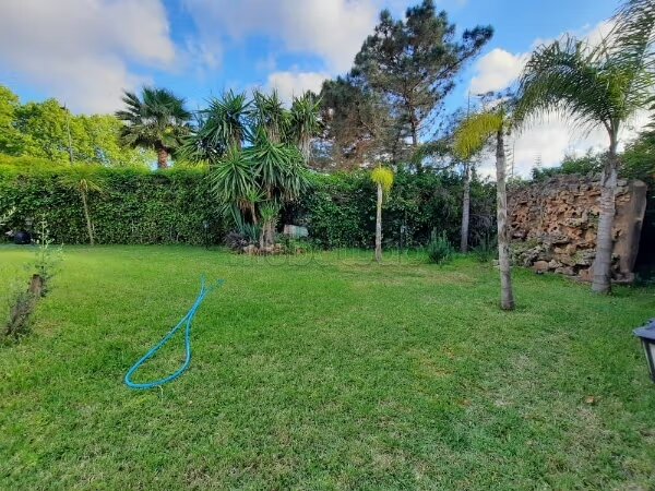 Plot 550 m² for Sale in Rabat (Hay Riad) — Photo 3