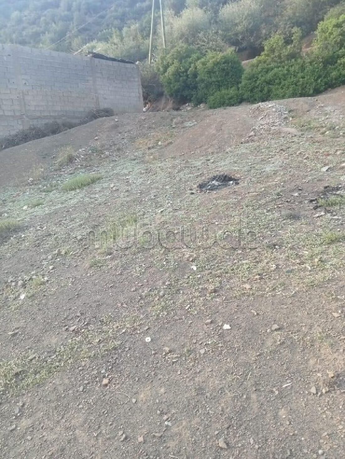 Land 535 sqm for sale in Aghbalou — Photo 3