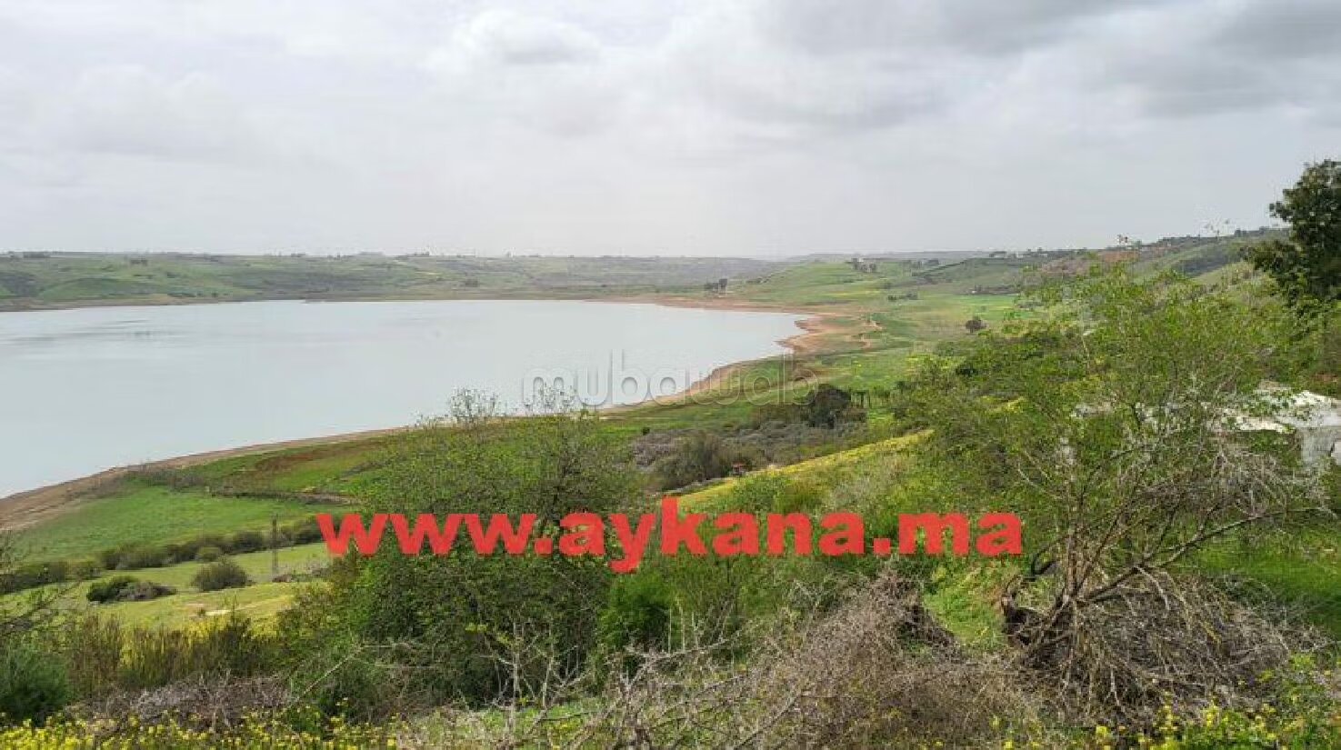 Vente Terrain Salé Shoul