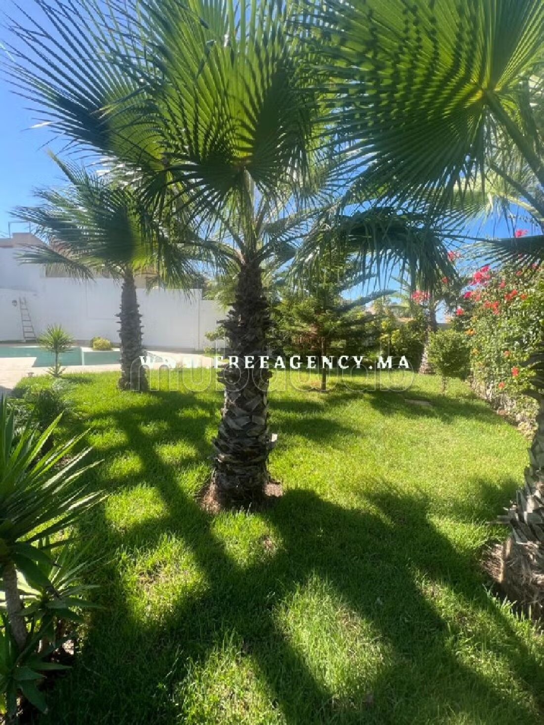 Luxury Villa for Sale in Tangier — Photo 25