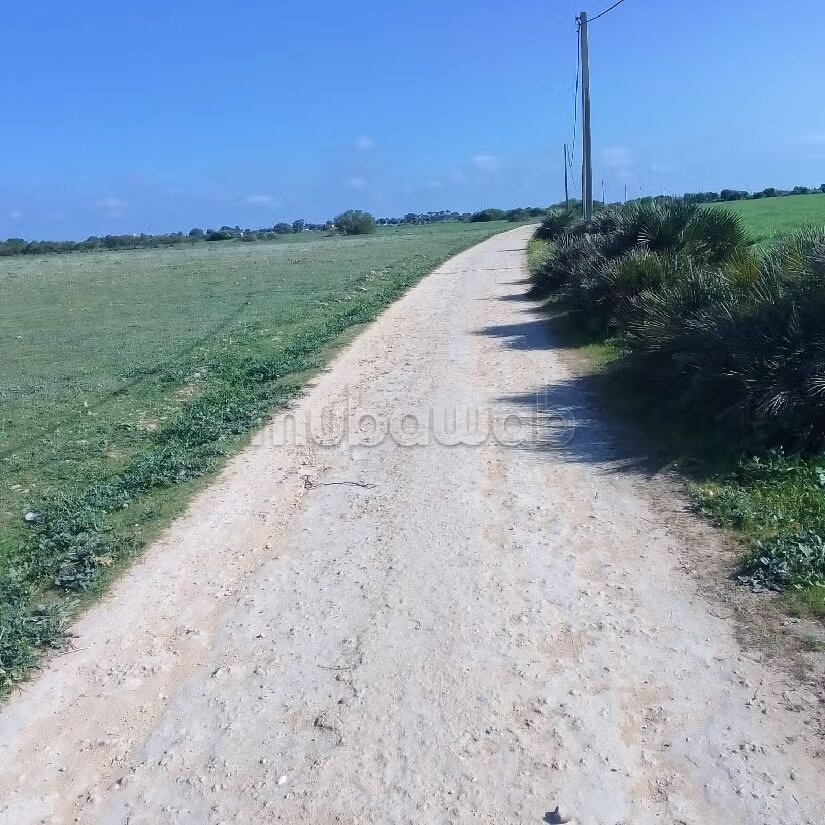 Terrain agricole 55 000 m² à vendre à El Mansouria à El Mansouria