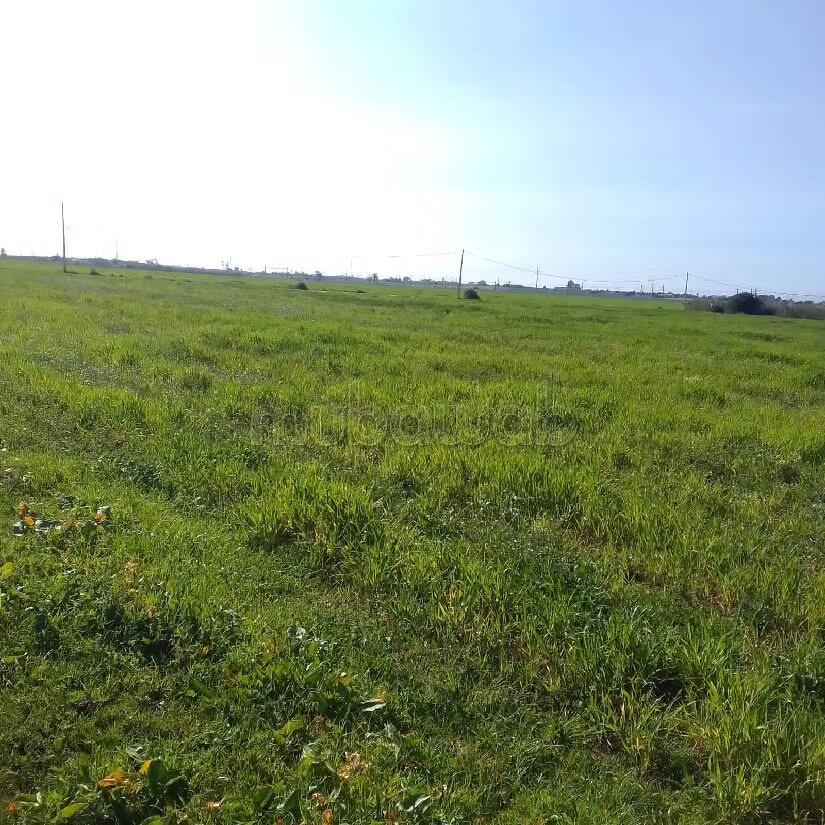Terrain agricole 55 000 m² à vendre à El Mansouria — Photo 3