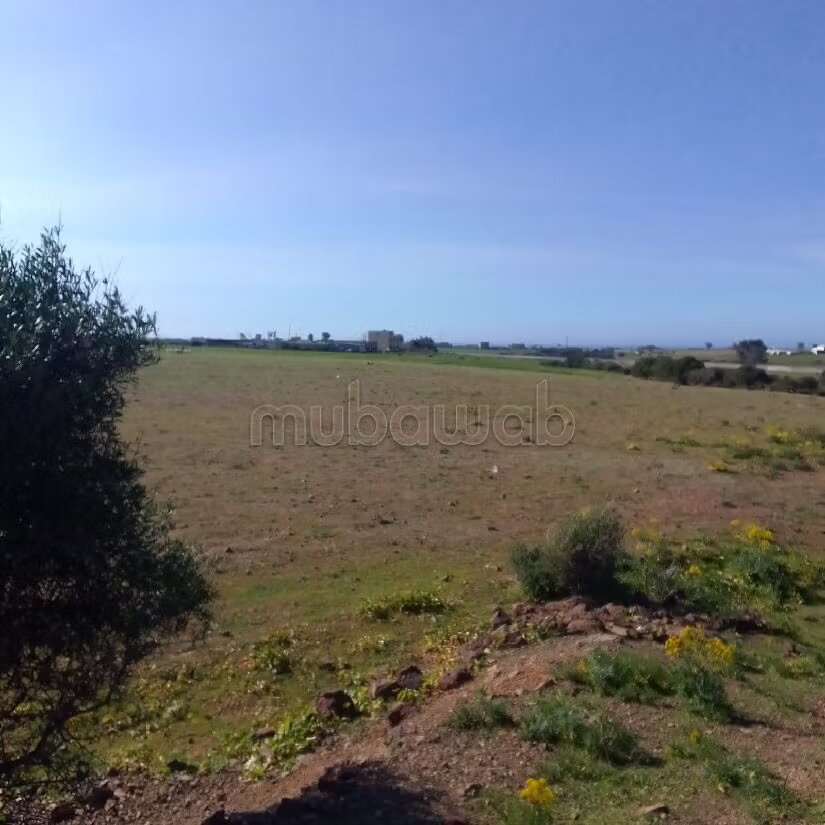 Terrain agricole 55 000 m² à vendre à El Mansouria — Photo 7