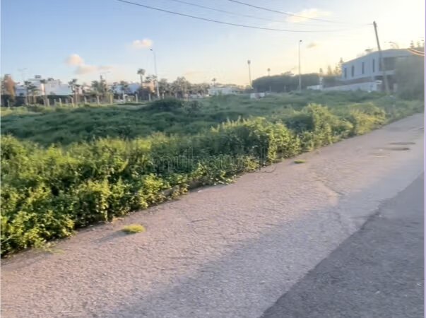 أرض 728 م² للبيع في الدار البيضاء — Photo 3