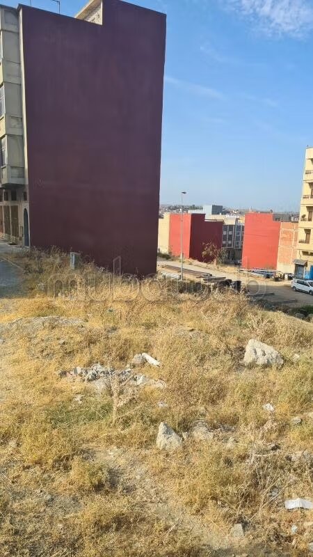 Plot 27,114 m² for Sale in Tangier — Photo 4