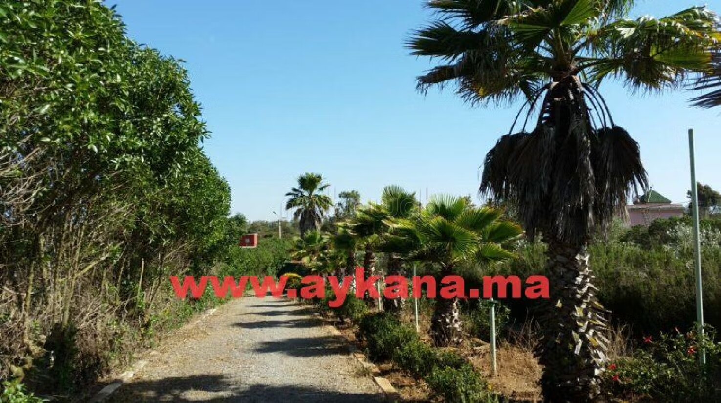 Vente Ferme Benslimane