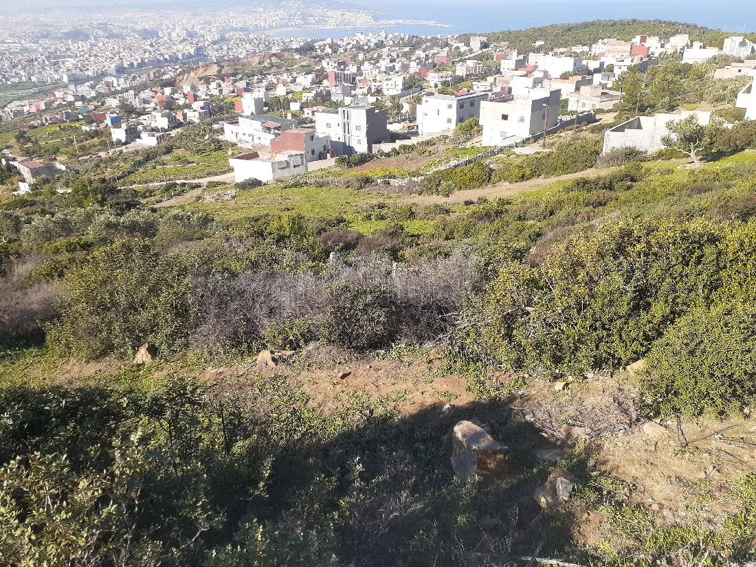 أرض قابلة للبناء للبيع في طنجة — Photo 6