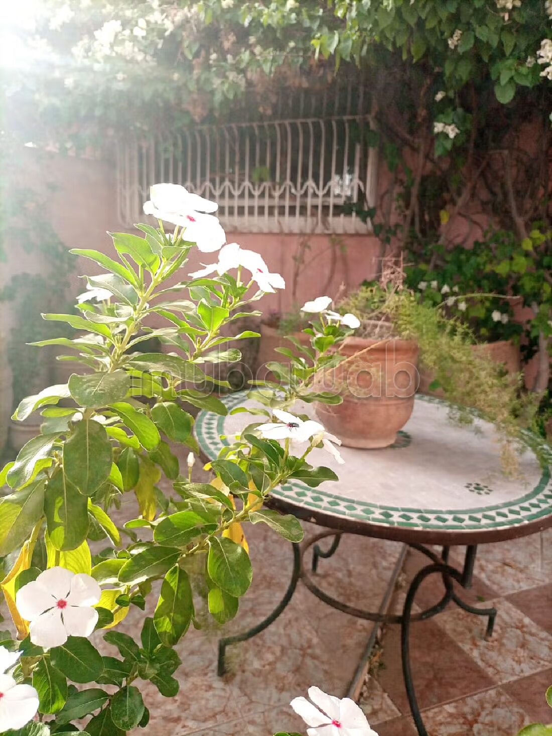 فيلا 280 متر مربع للبيع في أكادير — Photo 121
