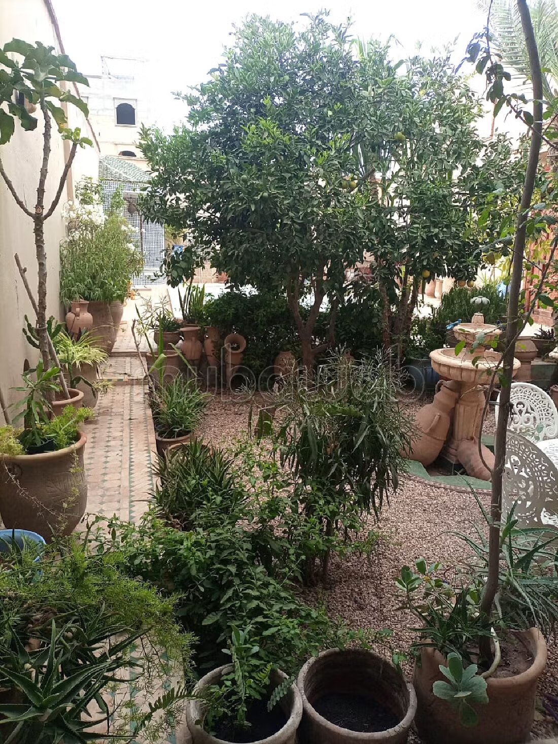 فيلا 280 متر مربع للبيع في أكادير — Photo 134