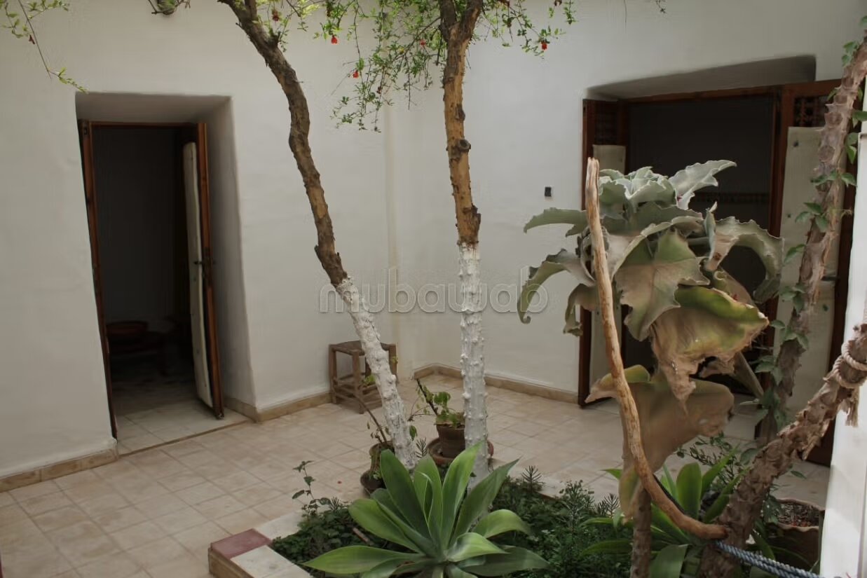 Riad 2070 m² for sale in Agadir — Photo 146