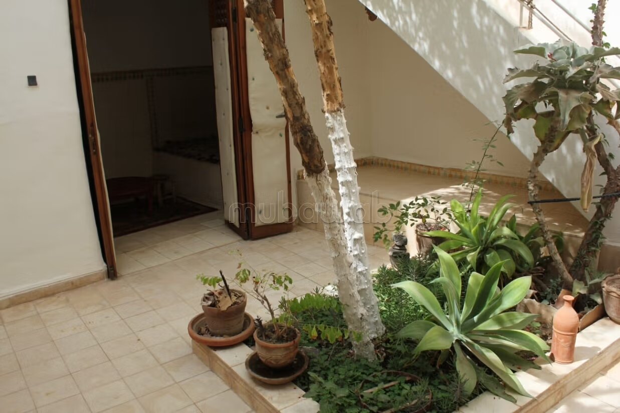 Riad 2070 m² for sale in Agadir — Photo 150