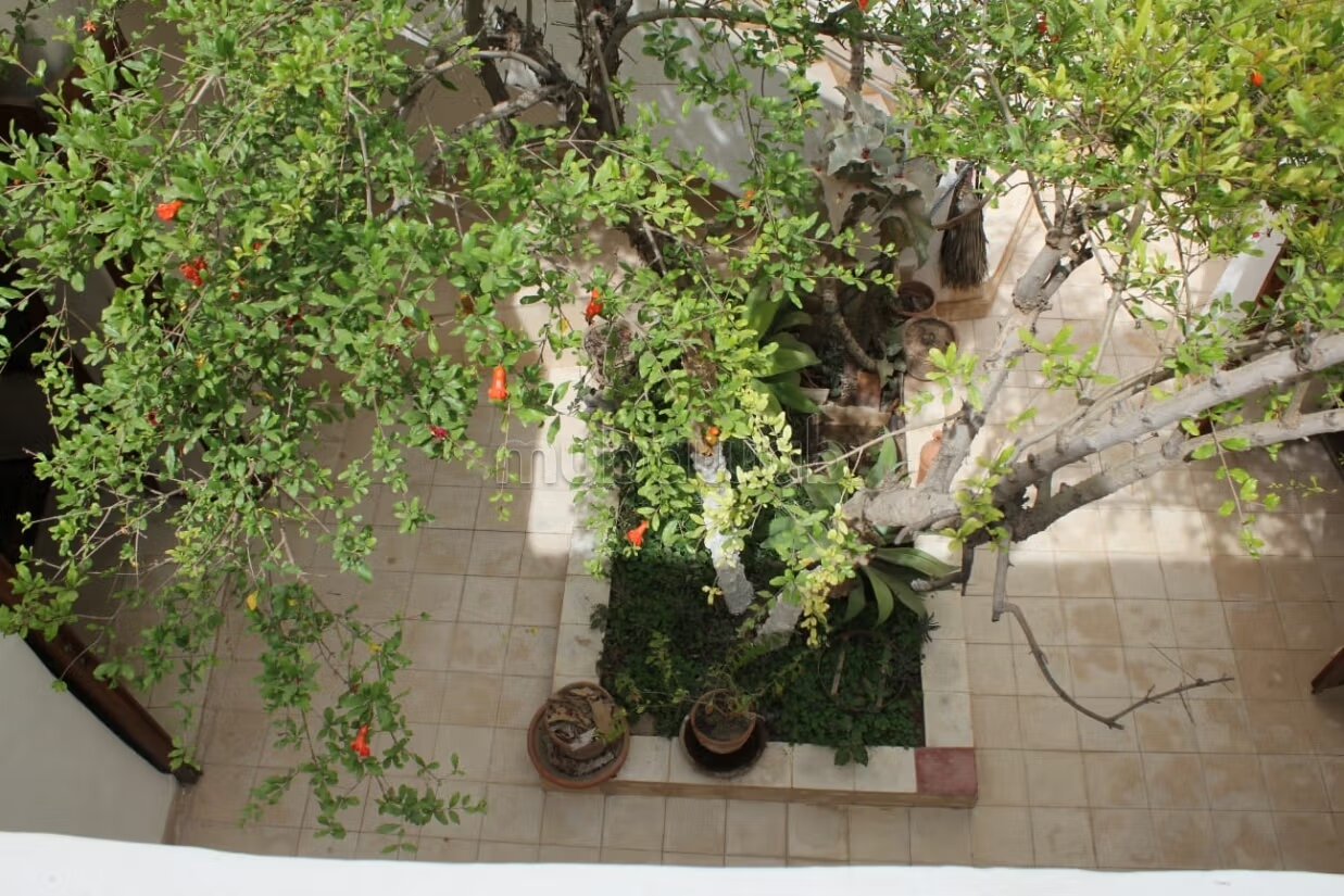 Riad 2070 m² for sale in Agadir — Photo 152