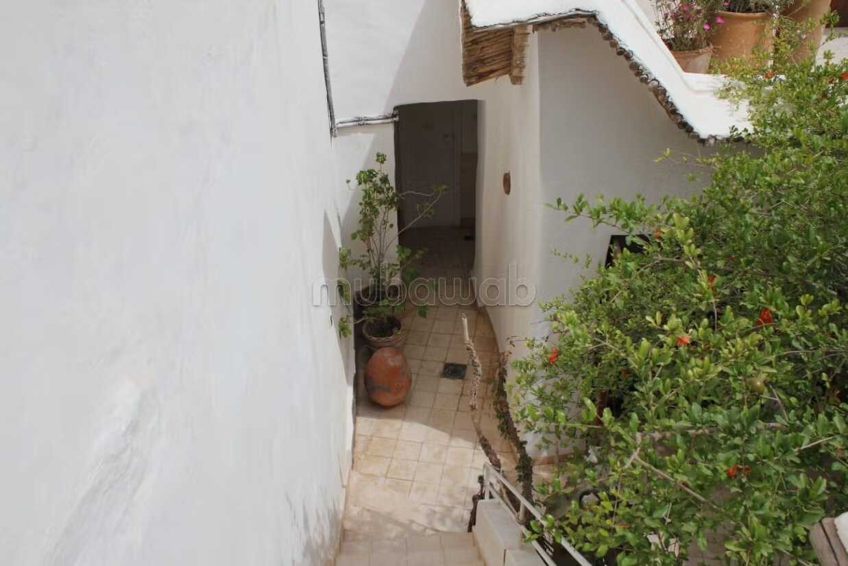 Riad 2070 m² for sale in Agadir — Photo 154