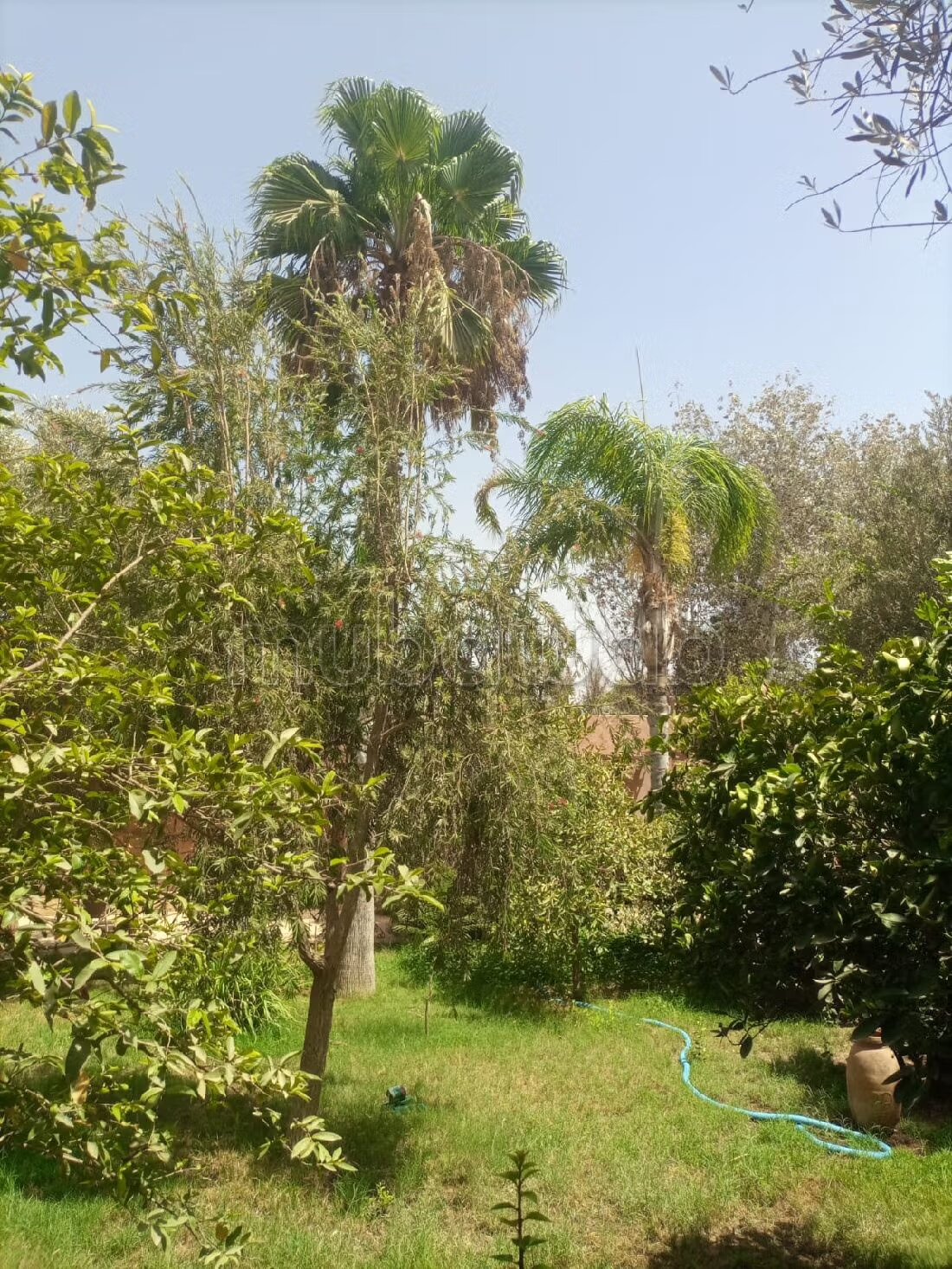 Riad 2070 m² for sale in Agadir — Photo 183