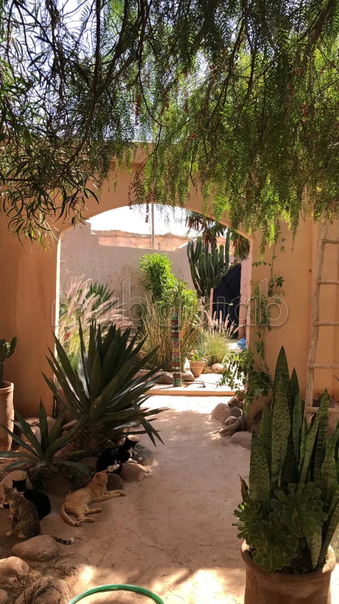 Riad 2070 m² for sale in Agadir — Photo 229