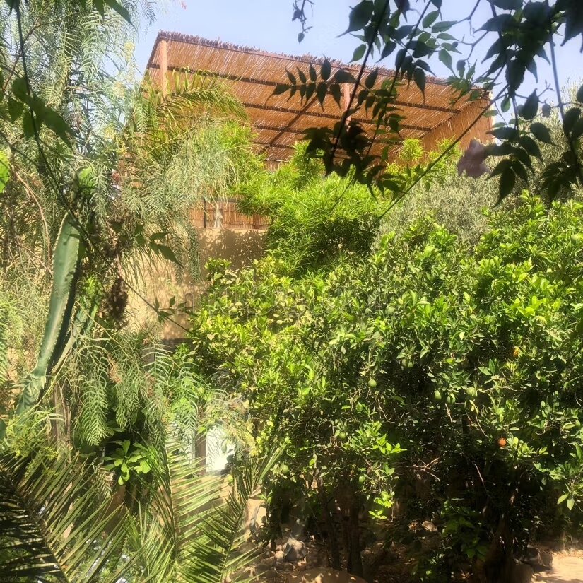 Riad 2070 m² for sale in Agadir — Photo 239