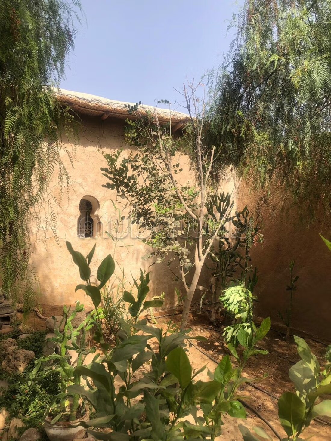 Riad 2070 m² for sale in Agadir — Photo 241