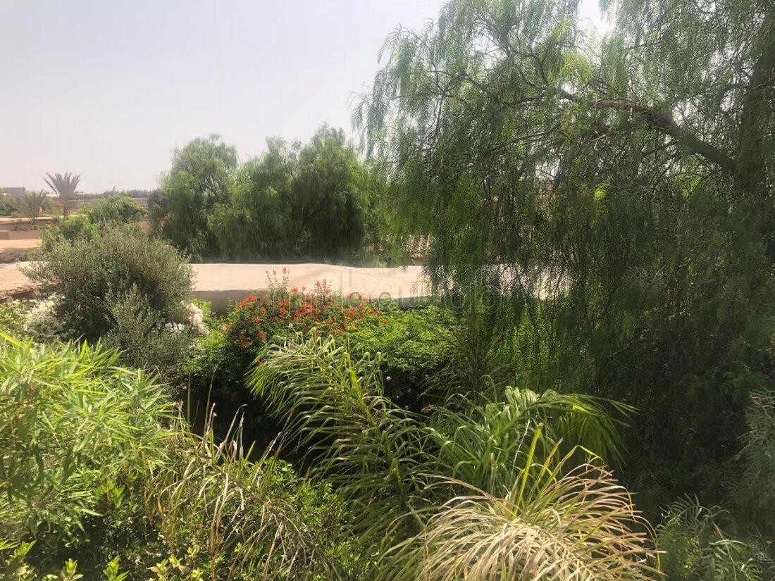 Riad 2070 m² for sale in Agadir — Photo 244