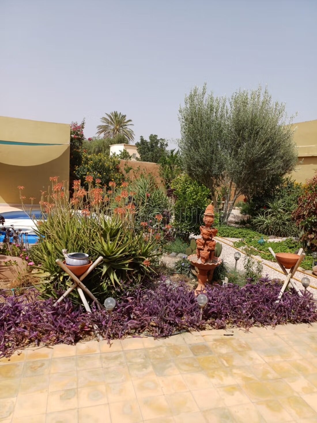 Riad 2070 m² for sale in Agadir — Photo 258
