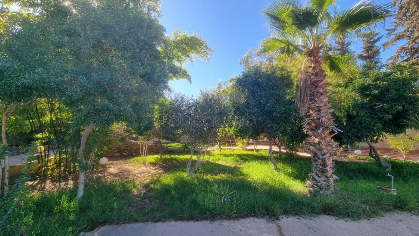 Riad 2070 m² for sale in Agadir — Photo 278