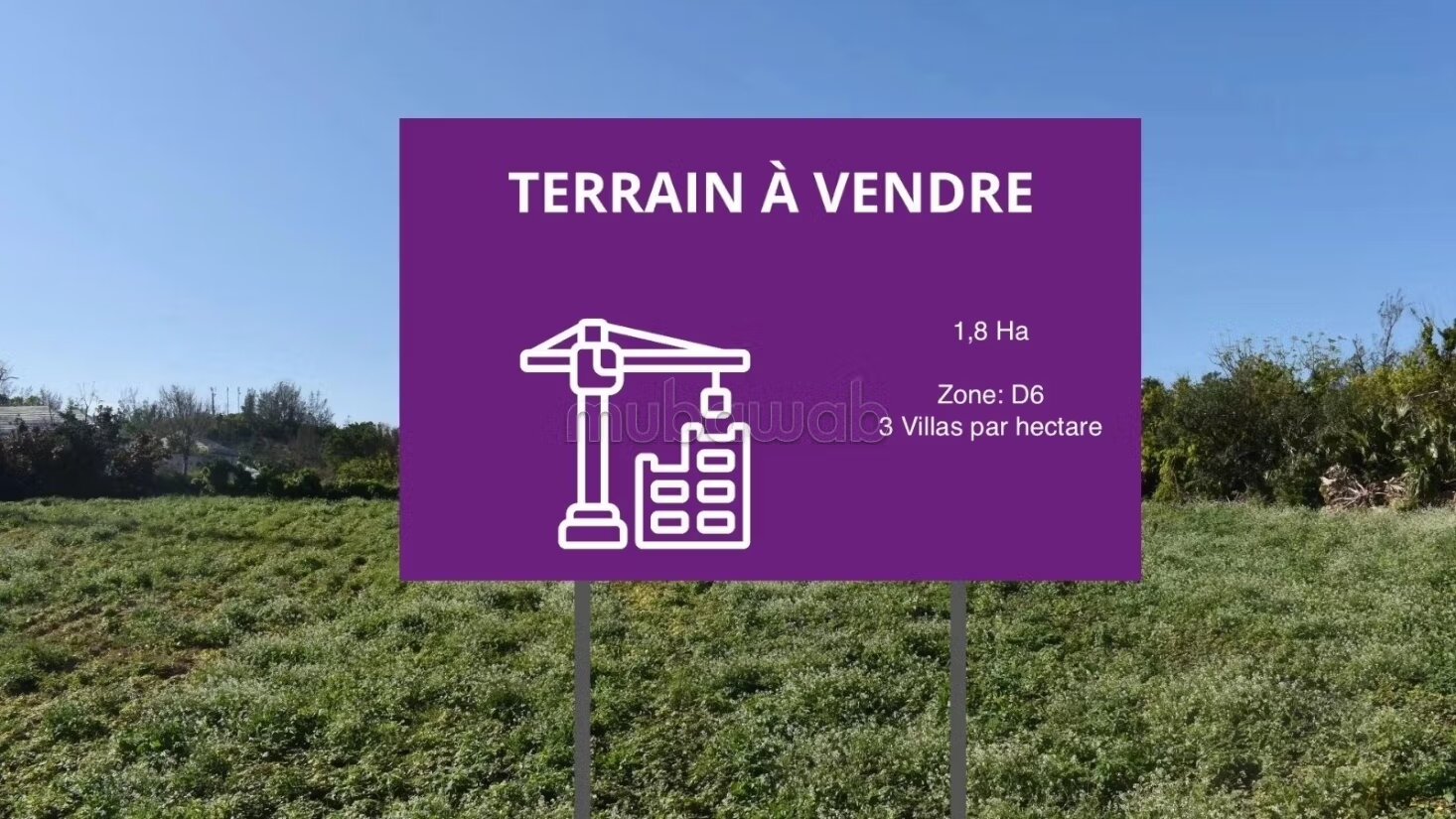 Vente Terrain D6 El Menzeh