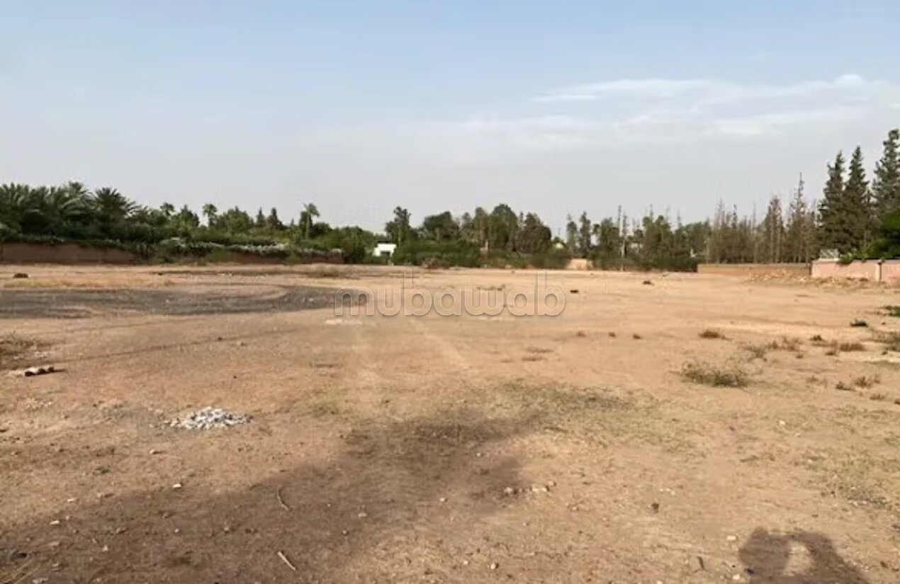 Terrain de 4900 m2 bien situé à Californie 
AFFAIRE