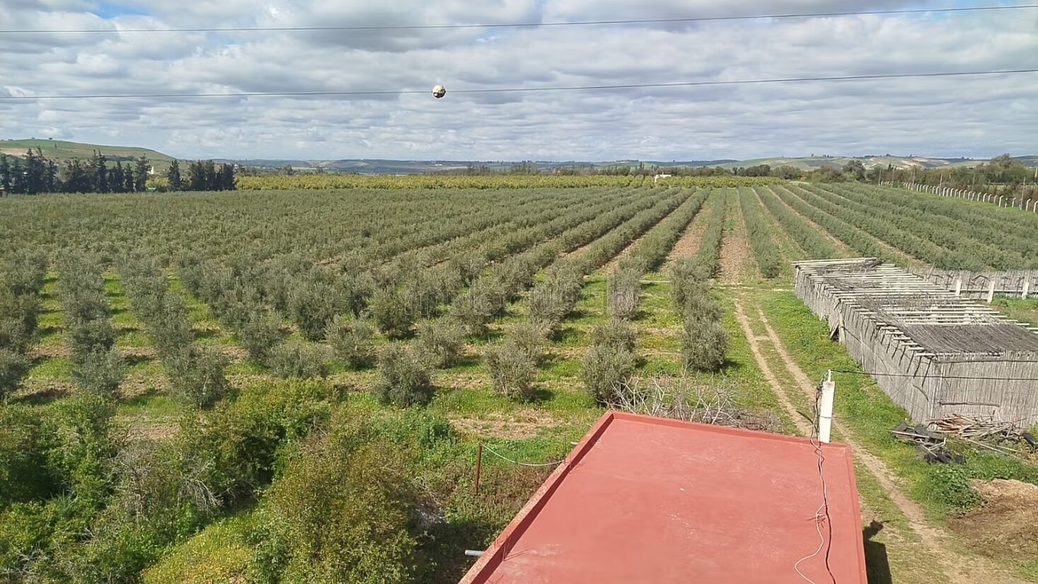 Magnifique ferme de 27 Hectares à Shoul en vente