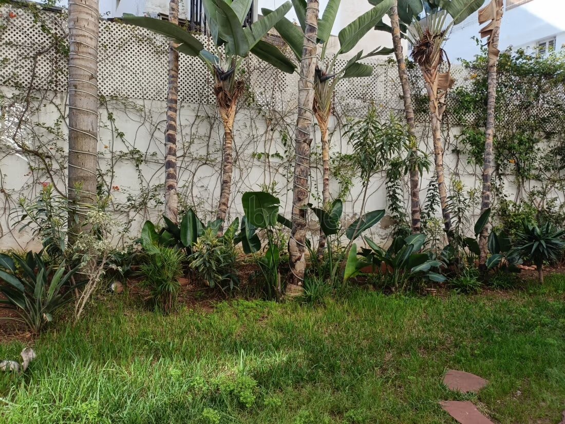AFFAIRE A SAISIR. Appartement à vendre a racine 
Rue Ali Abd...